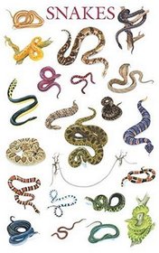 Snakes Poster