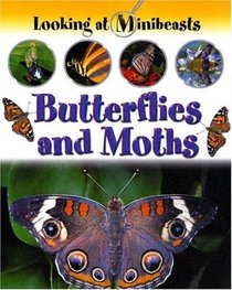 Butterflies and Moths (Looking at Minibeasts)