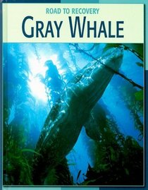 Gray Whale (Road to Recovery)