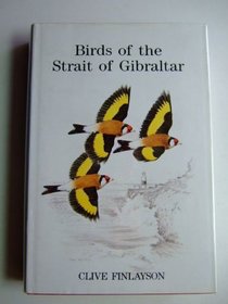 Birds of the Strait of Gibraltar