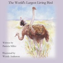 the World's Largest Living Bird: Wild Ostriches