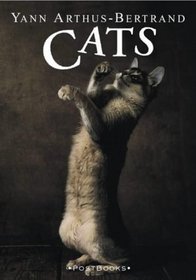 Postbooks: Cats