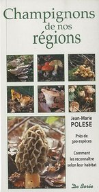 Champignons de nos régions (French Edition)