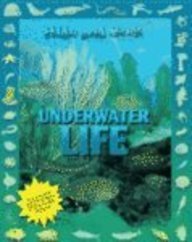 Hide and Seek - Underwater Life (Hide and Seek)