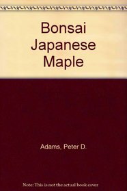 Bonsai Japanese Maple