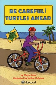 Be Careful! Turtles Ahead