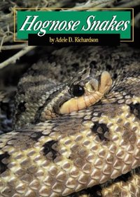 Hognose Snakes