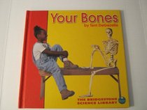 Your Bones (Bridgestone Science Library: Your Body)
