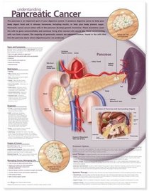 Understanding Pancreatic Cancer Anatomical Chart (Anatomical Chart Company)