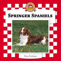 Springer Spaniels (Dogs Set VI)