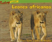 Leones africanos / African Lions (Readings in Espanol) (Spanish Edition)