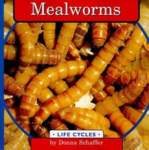 Mealworms (Life Cycles)