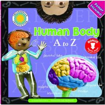 Human Body a to Z (A to Z Books) (A to Z: Guided Reading Level: L)