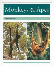 Monkeys & Apes (PM Animal Facts: Animals in the Wild)