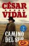 Camino del sur/ Road to the South (Spanish Edition)