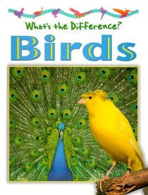 Birds (What's the Difference?)