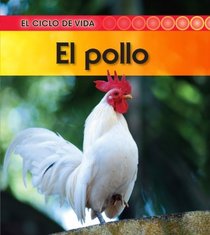 El pollo (Chicken) (El Ciclo De Vida / Life Cycle of a. . .) (Spanish Edition)