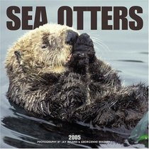 Sea Otters 2005 Wall Calendar