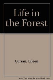 Life in the Forest