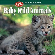 Baby Wild Animals