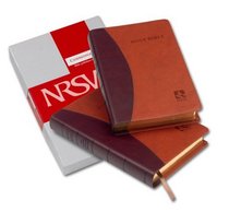 NRSV Popular Text Anglicized Tan/Burgundy Imitation NR532T