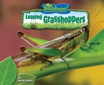 Leaping Grasshoppers (No Backbone! the World of Invertebrates)