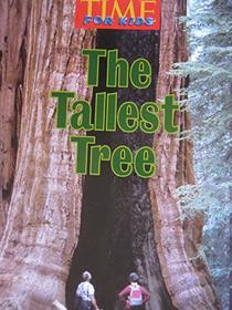 The Tallest Tree