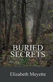 Buried Secrets: Sequel to the The Cavanaugh House (Finger Lakes Mysteries)