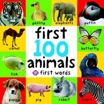 First 100 Animals (First Words)