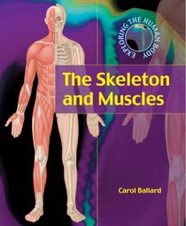 The Skeleton and Muscles (Exploring the Human Body)
