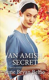 An Amish Secret