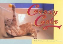 Crazy Cats