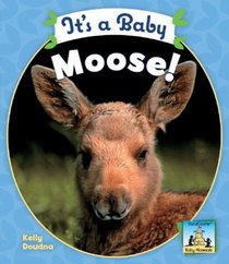 It's a Baby Moose! (Baby Mammals)