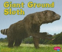 Giant Ground Sloth (Pebble Plus)