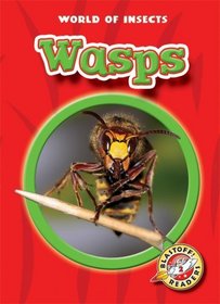 Wasps (Blastoff! Readers: World of Insects)
