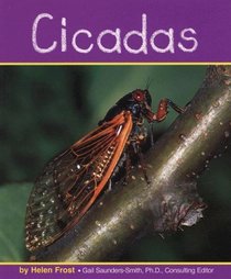 Cicadas (Insects)
