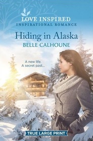 Hiding in Alaska (Home to Owl Creek, Bk 4) (Love Inspired, No 1342) (True Large Print)