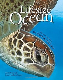 Lifesize: Ocean