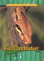 Animals of the Rainforest: Boa Constrictors (Animals of the Rainforest)