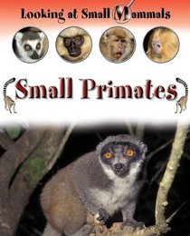 Small Primates (Looking at Small Mammals)