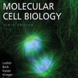 Molecular Cell Biology Instructor's Resource CD-ROM