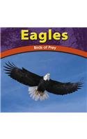 Eagles: Birds of Prey (Wild World of Animals)