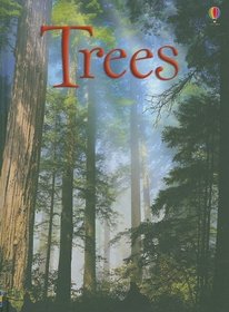 Trees (Usborne Beginners)