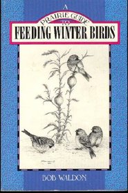 Feeding Winter Birds