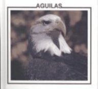 Aguilas = Eagles (Birds)