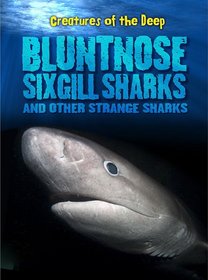 Bluntnose Sixgill Sharks and Other Strange Sharks (Creatures of the Deep)