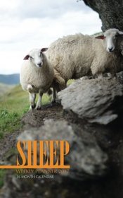Sheep Weekly Planner 2017: 16 Month Calendar