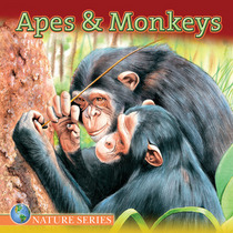 Apes & Monkeys (Nature Series)