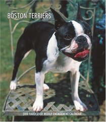 Boston Terriers 2008 Hardcover Weekly Engagement Calendar