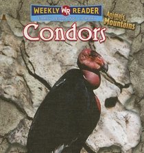 Condors (Animals That Live in the Mountains)